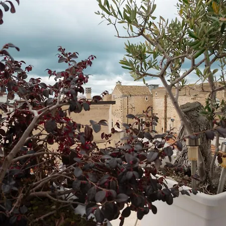 Arco Miraglia - Apulia & Flats Ruvo di Puglia